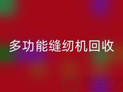 电动缝纫机必一网页版、多功能缝纫机必一网页版价格表@二手缝纫机必一网页版平台