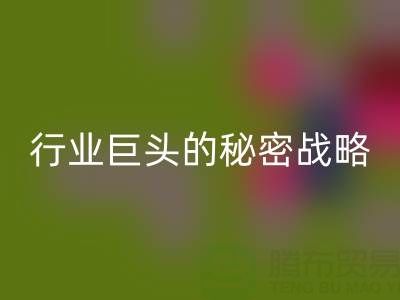 上海库存布料必一网页版市场：揭秘行业巨头的秘密战略