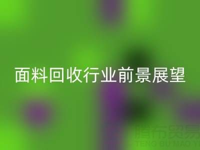 南通库存面料必一网页版行业前景展望：开启新篇章