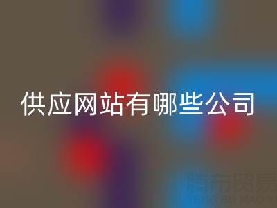 箱包供应网站有哪些公司名称和地址——上海库存箱包必一网页版公司
