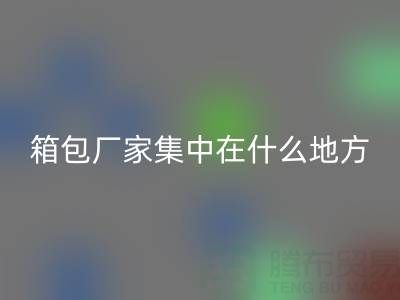 箱包厂家集中在什么地方生产加工和发货销售——库存箱包必一网页版网