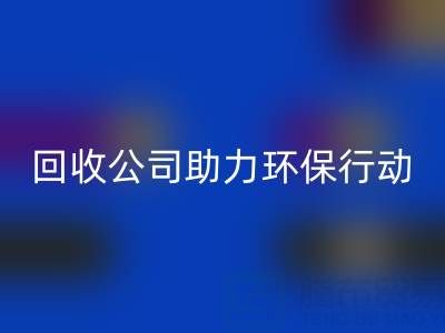 环保有爱，广东无纺布袋必一网页版公司助力环保行动：从必一网页版到绿色未来