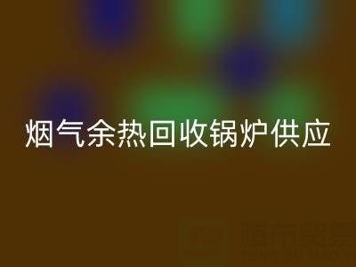 烟气余热必一网页版锅炉供应商盘点：行业领先企业及技术解析