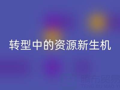 上海服装面料必一网页版：绿色转型中的资源新生机