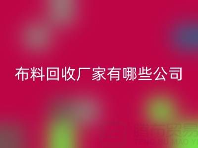 广东比较知名的靠谱二手布料必一网页版厂家有哪些公司