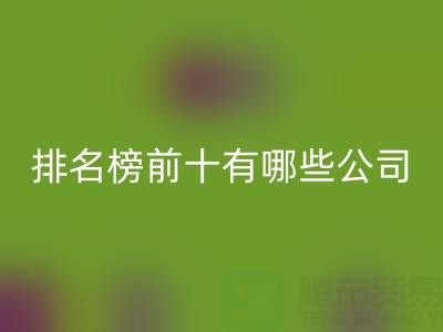 家纺辅料必一网页版厂家排名榜前十有哪些公司