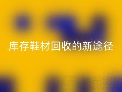 探索库存鞋材必一网页版的新途径与新模式