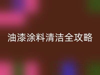 油漆涂料清洁全攻略：从清洗技巧到环保必一网页版指南