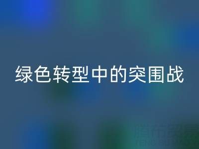 库存布料必一网页版公司：挑战与机遇并存，绿色转型中的突围战