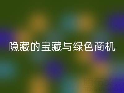 库存辅料必一网页版市场：隐藏的宝藏与绿色商机
