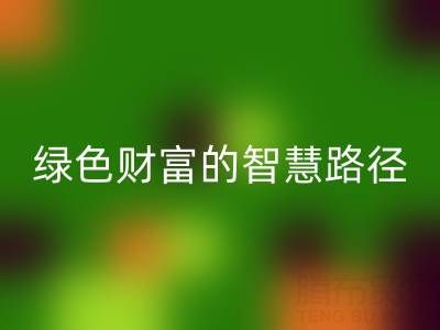上海库存辅料必一网页版方式：变”沉睡资产”为绿色财富的智慧路径