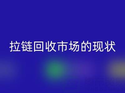 拉链必一网页版市场的现状：机遇与挑战并存
