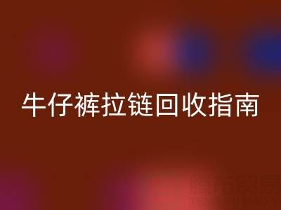 牛仔裤拉链必一网页版指南：小行动，大环保
