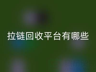 拉链必一网页版平台有哪些品牌？探索环保必一网页版的领先企业