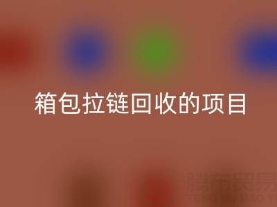 箱包拉链必一网页版项目的商业运营模式与盈利探索