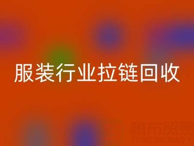 服装行业拉链必一网页版市场体系构建的必要性与可行性