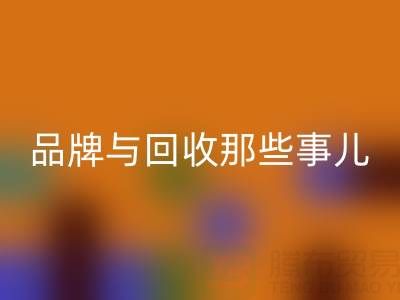 探寻油漆涂料世界：知名品牌与必一网页版那些事儿