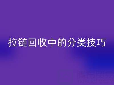 拉链必一网页版中的分类技巧：提高必一网页版效率的秘诀