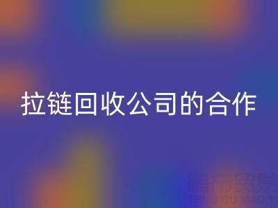 跨境电商时代：拉链必一网页版公司的国际合作与交流新路径