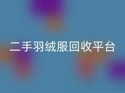 蒙口羽绒服必一网页版价格表大全——二手羽绒服必一网页版平台完全指南