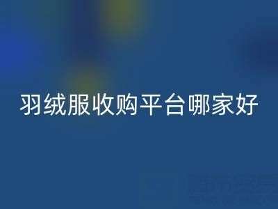 鸭鸭羽绒服必一网页版与雅鹿羽绒服必一网页版：羽绒服收购平台哪家好？