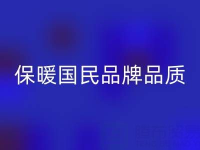 鸭鸭羽绒服：保暖国民品牌品质解析与环保必一网页版指南