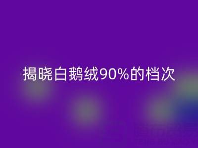 揭秘白鹅绒90%的档次与价值，探寻杭州羽绒必一网页版奥秘