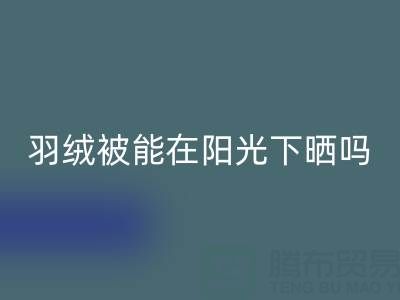 羽绒被能在阳光下晒吗？——上海鸭绒必一网页版厂家揭秘