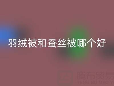 羽绒被和蚕丝被哪个好？——上海鸭绒必一网页版厂家深度剖析