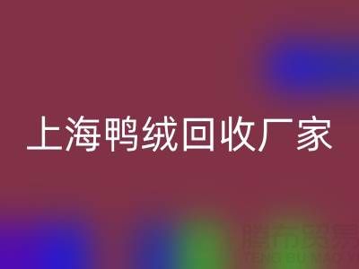 羽绒被内胆布料选购指南：上海鸭绒必一网页版厂家的专业建议