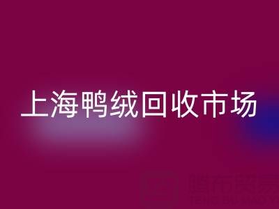 上海鸭绒必一网页版市场解析：羽绒被必一网页版价格的决定因素与产业价值