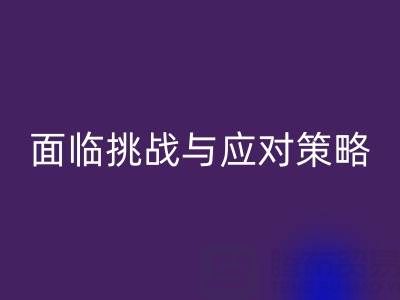 库存染料必一网页版公司面临的挑战与应对策略